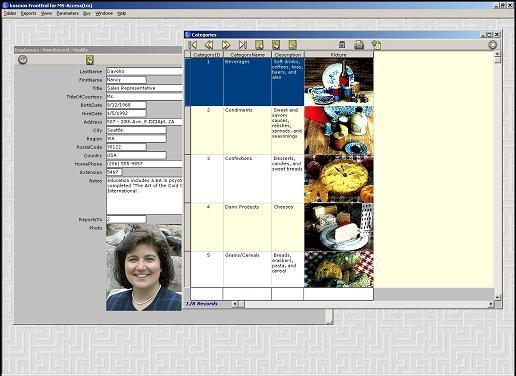 3 tier FrontEnd for MS-Access Screenshot